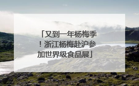又到一年杨梅季！浙江杨梅赴沪参加世界级食品展
