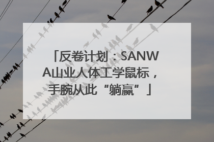 反卷计划：SANWA山业人体工学鼠标，手腕从此“躺赢”