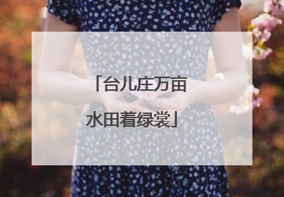 台儿庄万亩水田着绿裳