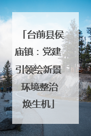 台前县侯庙镇：党建引领绘新景 环境整治焕生机