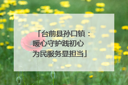 台前县孙口镇：暖心守护践初心 为民服务显担当
