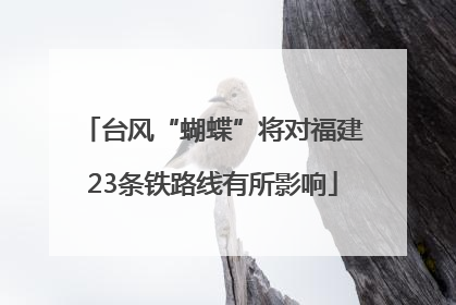 台风“蝴蝶”将对福建23条铁路线有所影响