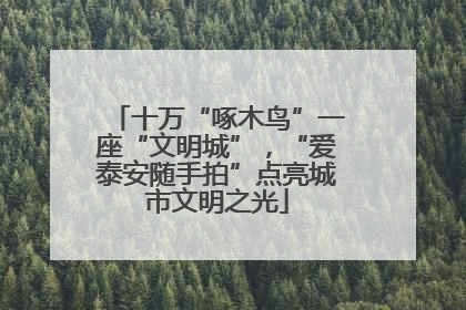 十万“啄木鸟”一座“文明城”，“爱泰安随手拍”点亮城市文明之光