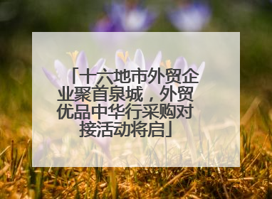 十六地市外贸企业聚首泉城，外贸优品中华行采购对接活动将启