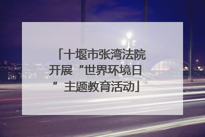 十堰市张湾法院开展“世界环境日”主题教育活动