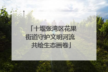 十堰张湾区花果街道守护文明河流 共绘生态画卷