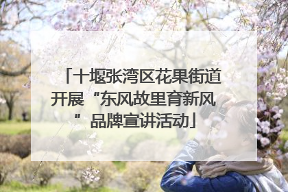 十堰张湾区花果街道开展“东风故里育新风”品牌宣讲活动
