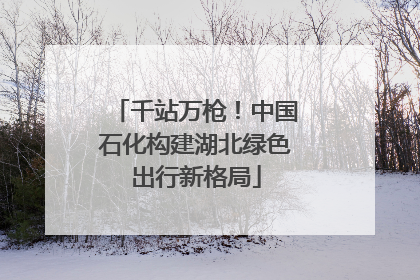 千站万枪！中国石化构建湖北绿色出行新格局