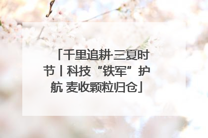 千里追耕·三夏时节丨科技“铁军”护航 麦收颗粒归仓
