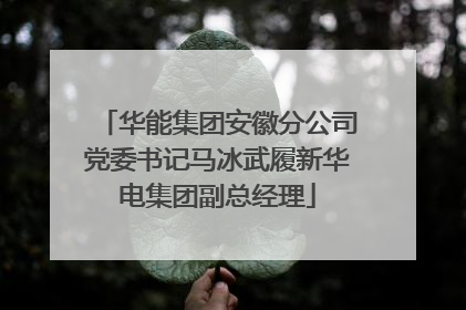 华能集团安徽分公司党委书记马冰武履新华电集团副总经理