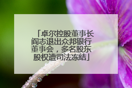 卓尔控股董事长阎志退出众邦银行董事会，多名股东股权遭司法冻结