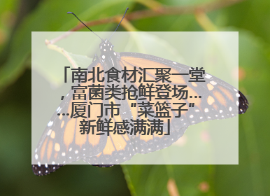 南北食材汇聚一堂，富菌类抢鲜登场……厦门市“菜篮子”新鲜感满满