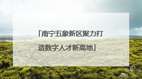 南宁五象新区聚力打造数字人才新高地