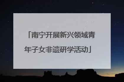 南宁开展新兴领域青年子女非遗研学活动