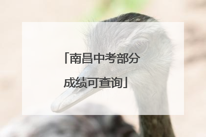 南昌中考部分成绩可查询