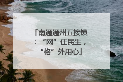 南通通州五接镇：“网”住民生，“格”外用心