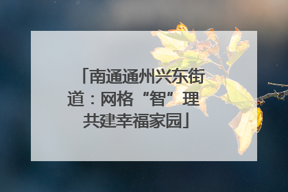 南通通州兴东街道：网格“智”理 共建幸福家园
