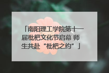 南阳理工学院第十一届枇杷文化节启幕 师生共赴“枇杷之约”