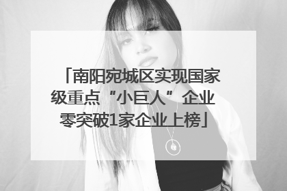 南阳宛城区实现国家级重点“小巨人”企业零突破1家企业上榜