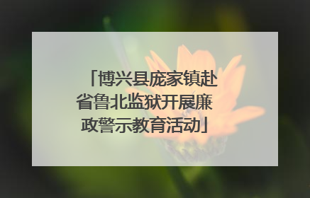 博兴县庞家镇赴省鲁北监狱开展廉政警示教育活动