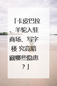 卡皮巴拉、羊驼入驻商场、写字楼 究竟暗藏哪些隐患？