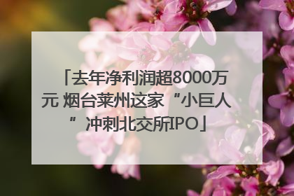 去年净利润超8000万元 烟台莱州这家“小巨人”冲刺北交所IPO