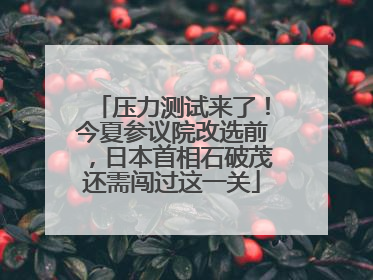压力测试来了！今夏参议院改选前，日本首相石破茂还需闯过这一关
