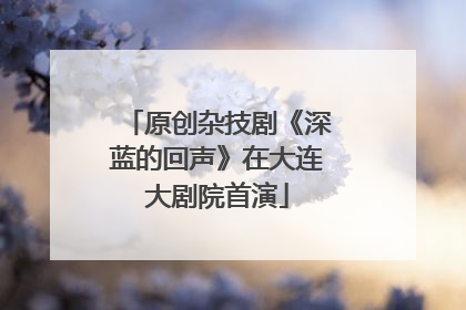 原创杂技剧《深蓝的回声》在大连大剧院首演