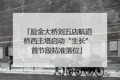 厦金大桥刘五店航道桥西主塔启动“生长” 首节段精准落位