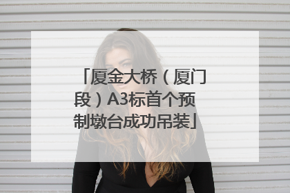 厦金大桥（厦门段）A3标首个预制墩台成功吊装
