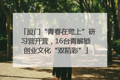 厦门“青春在鹭上”研习营开营，16台青解锁创业文化“双精彩”