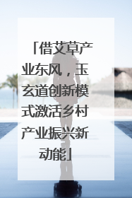 借艾草产业东风，玉玄道创新模式激活乡村产业振兴新动能