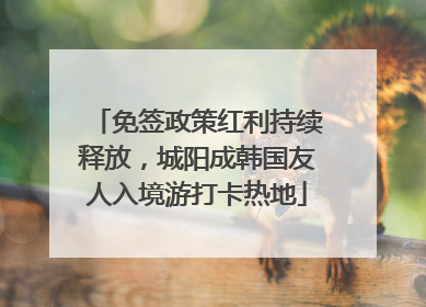免签政策红利持续释放，城阳成韩国友人入境游打卡热地