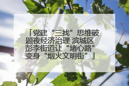 党建“三找”思维破题夜经济治理 滨城区彭李街道让“堵心路”变身“烟火文明街”