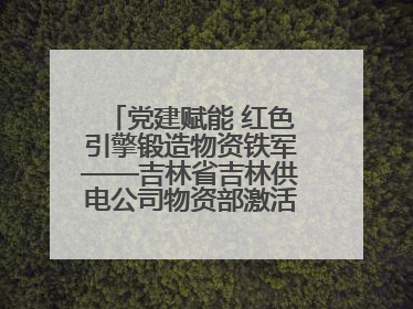 党建赋能 红色引擎锻造物资铁军——吉林省吉林供电公司物资部激活供应链新动能