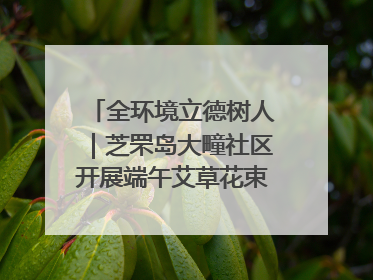 全环境立德树人｜芝罘岛大疃社区开展端午艾草花束DIY活动