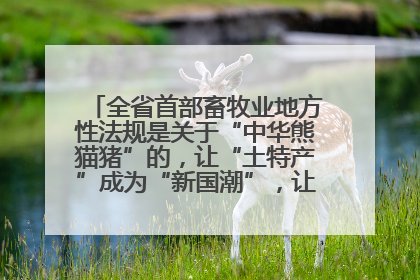 全省首部畜牧业地方性法规是关于“中华熊猫猪”的，让“土特产”成为“新国潮”，让“农产品”升格为“城市IP”