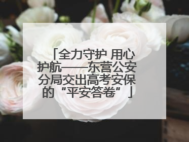 全力守护 用心护航——东营公安分局交出高考安保的“平安答卷”
