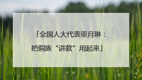 全国人大代表董月琳：把侗族“讲款”用起来