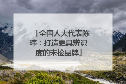 全国人大代表陈玮：打造更具辨识度的未检品牌