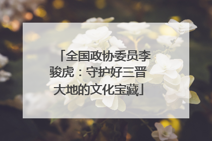全国政协委员李骏虎：守护好三晋大地的文化宝藏