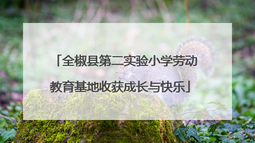 全椒县第二实验小学劳动教育基地收获成长与快乐