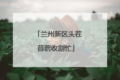 兰州新区头茬苜蓿收割忙