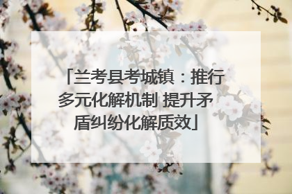 兰考县考城镇：推行多元化解机制 提升矛盾纠纷化解质效
