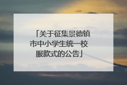 关于征集景德镇市中小学生统一校服款式的公告