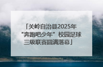 关岭自治县2025年“奔跑吧少年”校园足球三级联赛圆满落幕