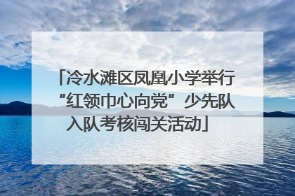 冷水滩区凤凰小学举行“红领巾心向党”少先队入队考核闯关活动