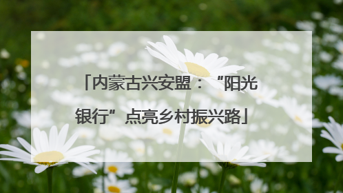 内蒙古兴安盟：“阳光银行”点亮乡村振兴路