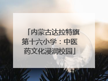 内蒙古达拉特旗第十六小学：中医药文化浸润校园