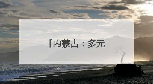 内蒙古：多元协同构筑产业发展新高地